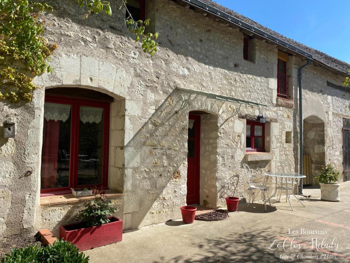 Chambres D'Hotes Les Bournais - Le Clos Milady L'Ile-Bouchard Luaran gambar