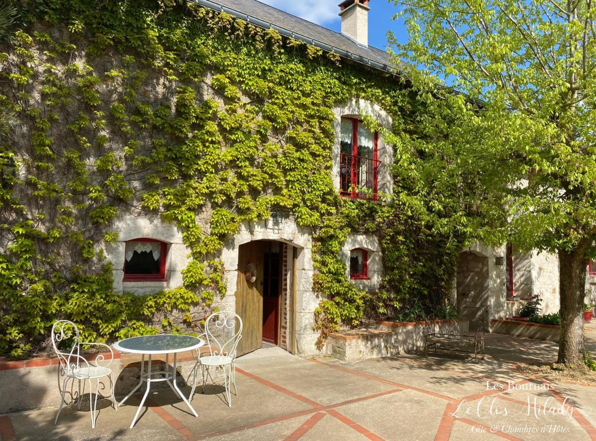Chambres D'Hotes Les Bournais - Le Clos Milady L'Ile-Bouchard Luaran gambar