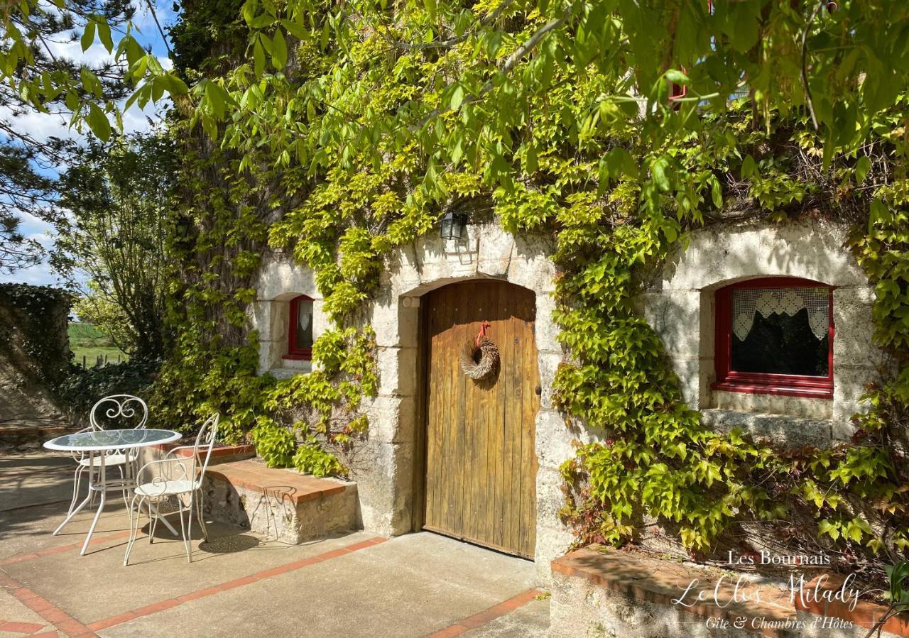 Chambres D'Hotes Les Bournais - Le Clos Milady L'Ile-Bouchard Luaran gambar