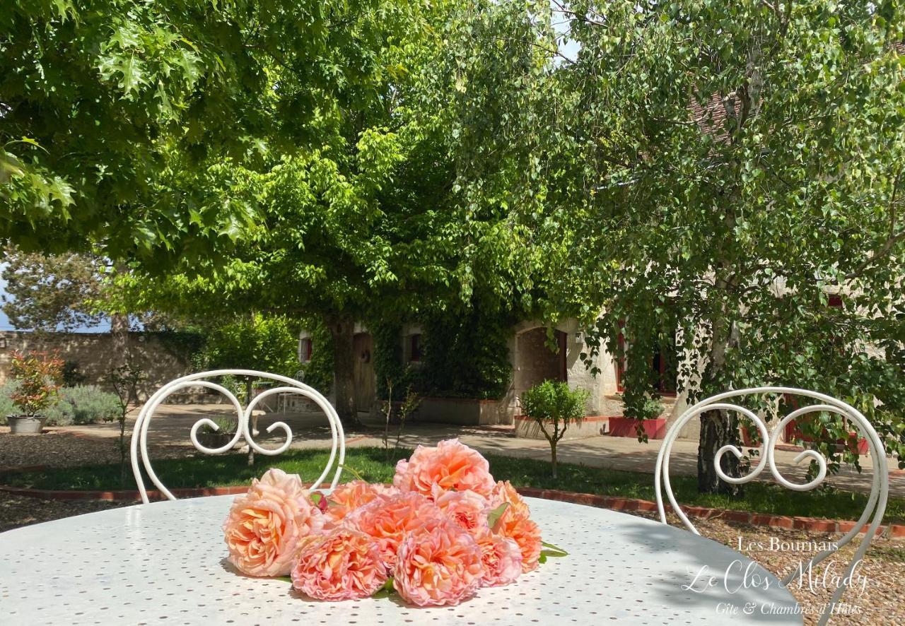 Chambres D'Hotes Les Bournais - Le Clos Milady L'Ile-Bouchard Luaran gambar