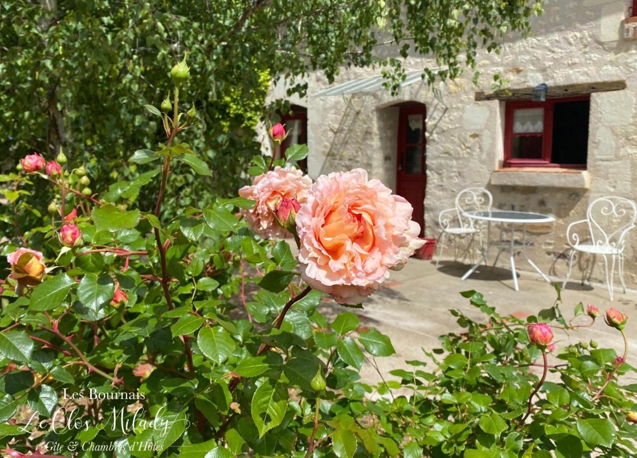 Chambres D'Hotes Les Bournais - Le Clos Milady L'Ile-Bouchard Luaran gambar