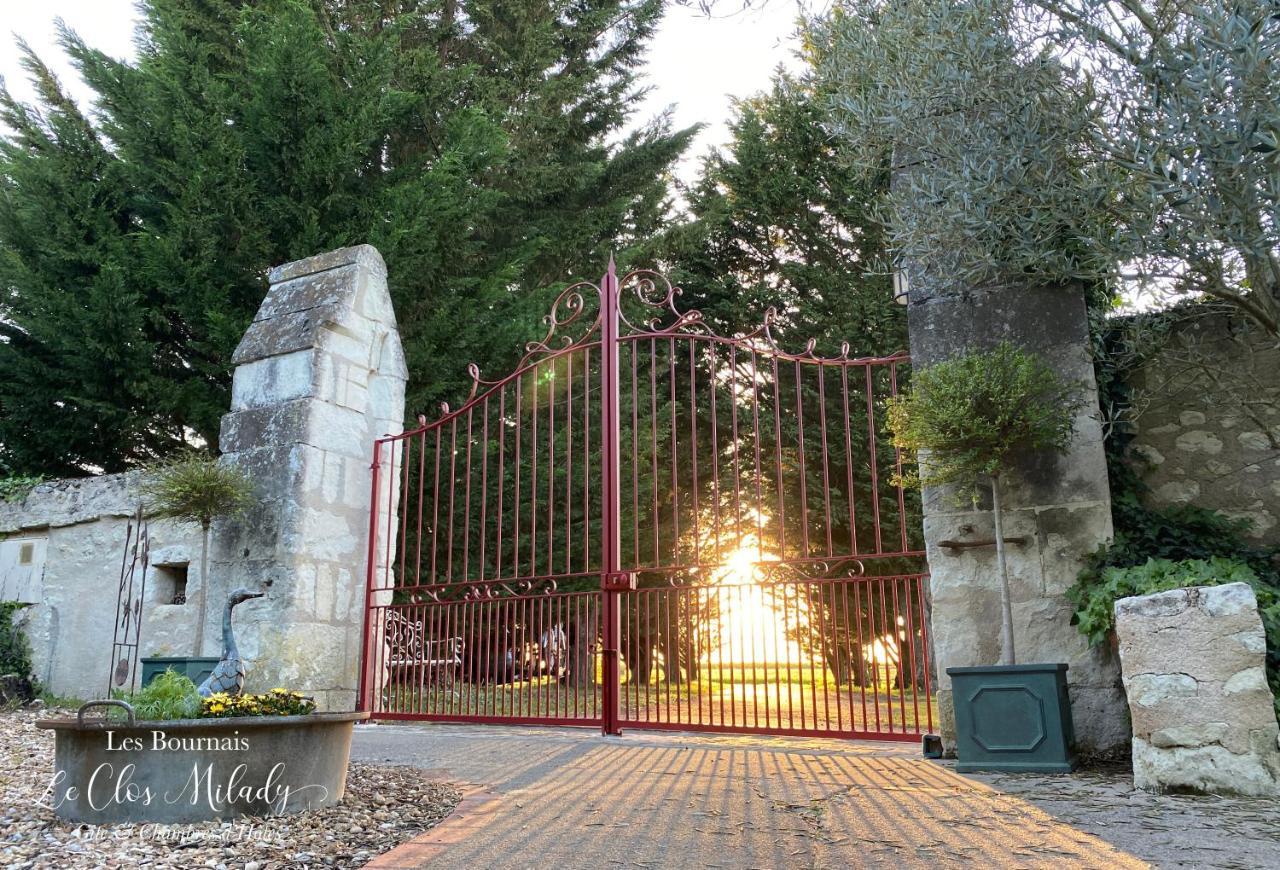 Chambres D'Hotes Les Bournais - Le Clos Milady L'Ile-Bouchard Luaran gambar