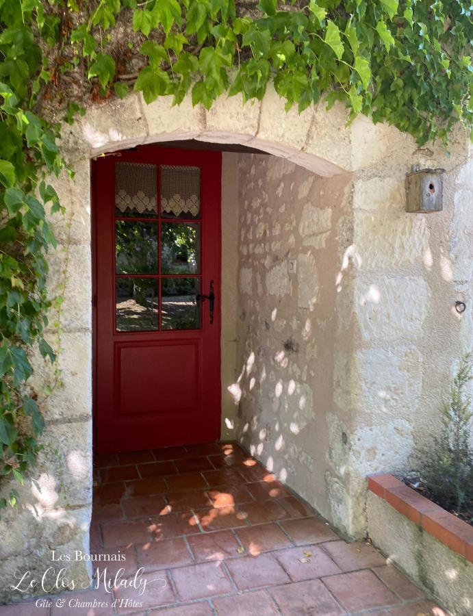 Chambres D'Hotes Les Bournais - Le Clos Milady L'Ile-Bouchard Luaran gambar