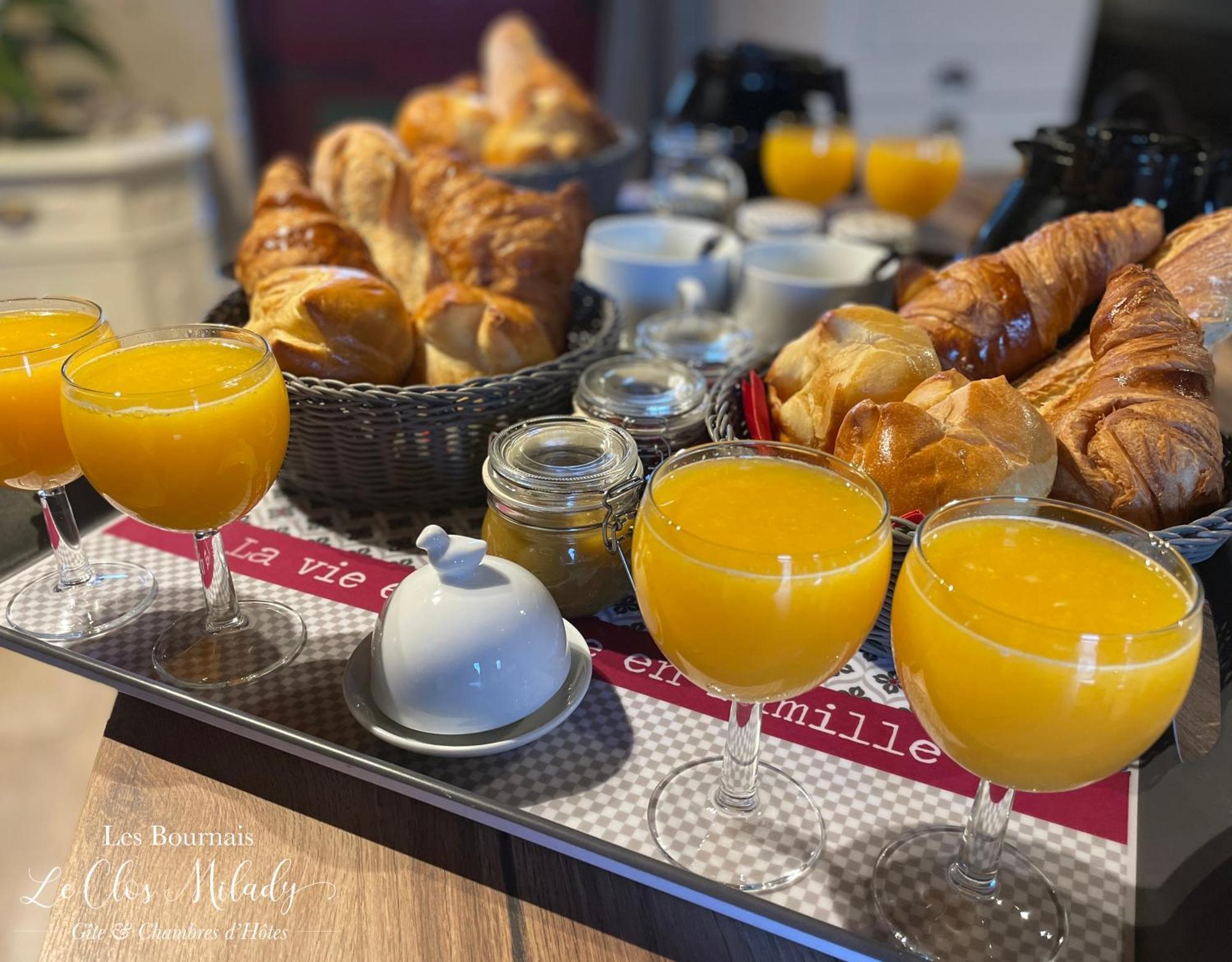 Chambres D'Hotes Les Bournais - Le Clos Milady L'Ile-Bouchard Luaran gambar